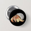 Recherche de crabe badges Aquarelle