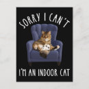 Recherche de jeu de chats cartes postales Amoureux des chats