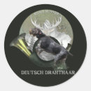 Recherche de chien drahthaar autocollants Chien de chasse