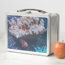 Recherche de poissons de clown Récif