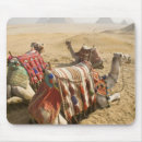 Recherche de caire tapis souris Pyramide