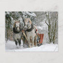 Recherche de deux chevaux cartes postales Animal