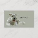 Recherche de amant d cartes visite Chien