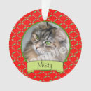 Recherche de minous ornements Pour animaux