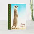 Zoek naar meerkats kaarten Kerstmis