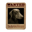 Recherche de pinscher magnets Pinscher de dobermann