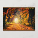 Recherche de arbre jaune cartes postales Pour elle