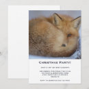 Recherche de renard mignon invitations Faune