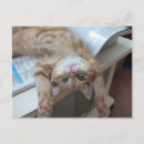 Recherche de aucunes personnes cartes postales Photographie