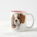 Recherche de blenheim tasses Cavalier