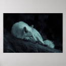 Recherche de arctique art Blanc