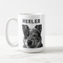 Recherche de blue heeler tasses Chiens