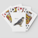Recherche de rapace jeux de cartes Oiseau