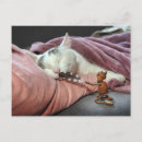 Recherche de taquinerie cartes postales Drôle