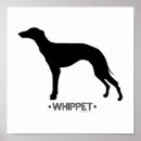 Zoek naar whippet kunst Dieren