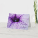 Recherche de pétunia vœux cartes Pourpre