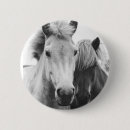 Zoek naar paarden buttons Equine