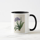 Recherche de pierre joseph redoute tasses Lis
