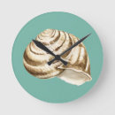 Recherche de étoiles horloges Conque