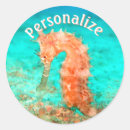 Zoek naar caraïbisch stickers Ocean