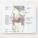Recherche de humain anatomie tapis souris Diagramme