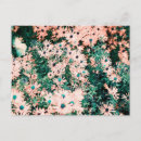 Recherche de fleur sauvage cartes postales Unique