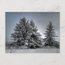 Recherche de esprit noël cartes postales Hiver