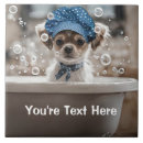 Zoek naar chihuahua tegels Schattig