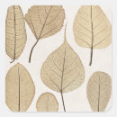 Zoek naar botanische tekening stickers Bladeren