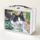 Zoek naar afbeelding lunchboxen Katten
