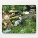 Recherche de collecte électronique Nature