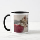 Recherche de tête tigre tasses Plan rapproché