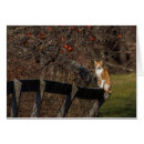 Recherche de fureur vœux cartes Chat