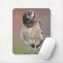 Recherche de hibou bébé tapis souris Animal