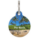 Recherche de sunny maison deco Surf