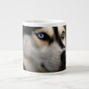 Recherche de grandes oreilles tasses Animal