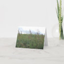 Zoek naar summer kaarten Foto