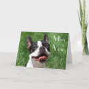 Zoek naar boston terriers kaarten Liefde