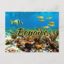 Zoek naar bonaire briefkaarten Reis
