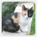 Recherche de humour de film autocollants Parodie