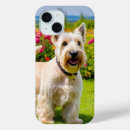Recherche de grass iphone coques Herbe