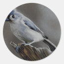 Recherche de mésange autocollants Anniversaire