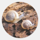 Recherche de escargot autocollants Animal