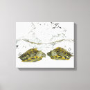 Recherche de froid un art Reptiles