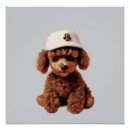 Recherche de caniche posters Chien