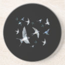 Recherche de hirondelles dessous de verres Faune
