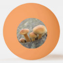 Zoek naar buiten pingpongballen Natuur