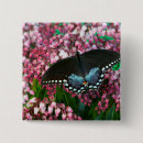 Recherche de soufre badges Papillon