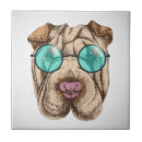 Recherche de lunettes soleil carreaux Chien