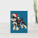 Zoek naar schnauzer honden kaarten Hond moeder